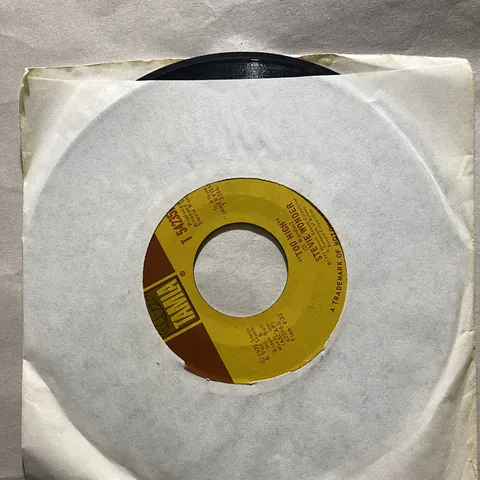 Stevie Wonder — Higher Ground / Too High